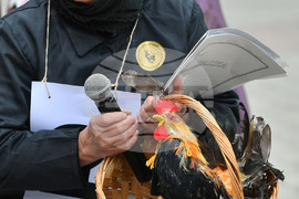 Дулово - карнавал "Златното магаре"