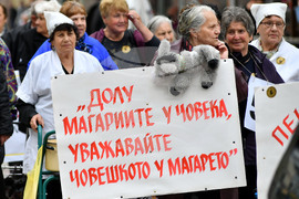 Дулово - карнавал "Златното магаре"