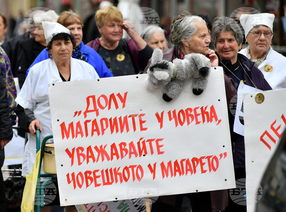 Дулово - карнавал "Златното магаре"