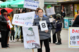 Дулово - карнавал "Златното магаре"