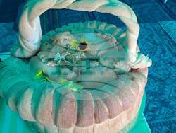 Снимка: Община Ловеч