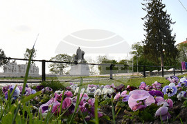 Исперих - цветя