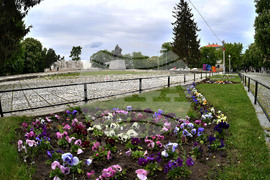 Исперих - цветя