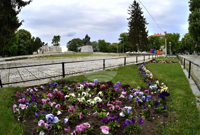 Исперих - цветя