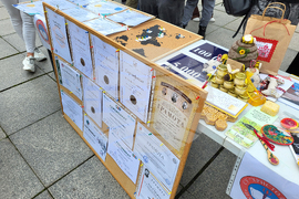 Самоков - средно образование - панаир