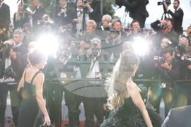 Румъния - Кристиан Раду Нема, фотограф - интервю