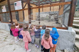 Шумен - зоопарк - ремонт - нови видове