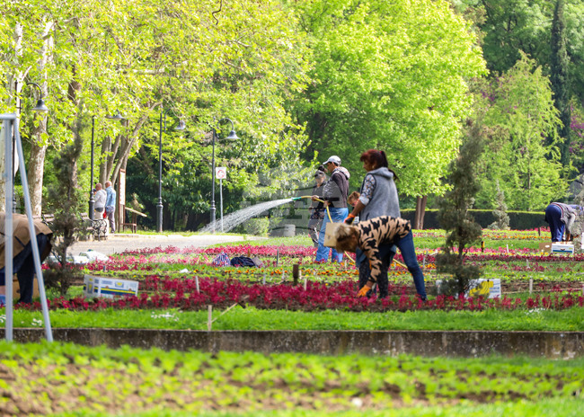 Бургас - Морска градина - озеленяване