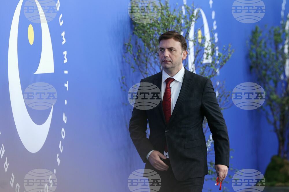 North Macedonia's DUI Ready to Back Government without Being In It, If Opposition Votes Through Changes to Constitution