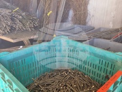 Снимка: Южноцентрално държавно предприятие – гр. Смолян