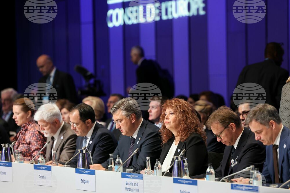 Исландия - Илияна Йотова - дебат на тема "Обединени за Европа"