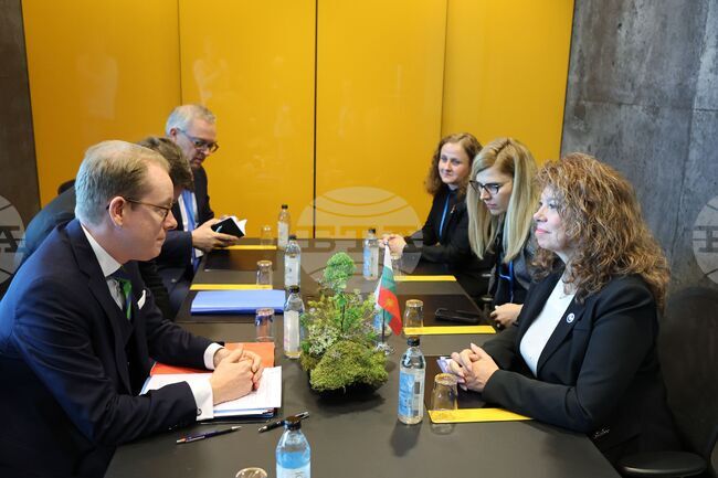 Исландия - Съвет на Европа - Илияна Йотова - Тобиас Билстрьом - среща