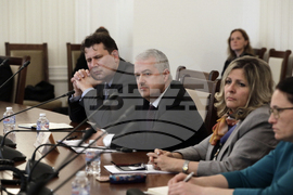 Парламент - Комисия по външна политика - заседание