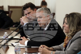 Парламент - Комисия по външна политика - заседание