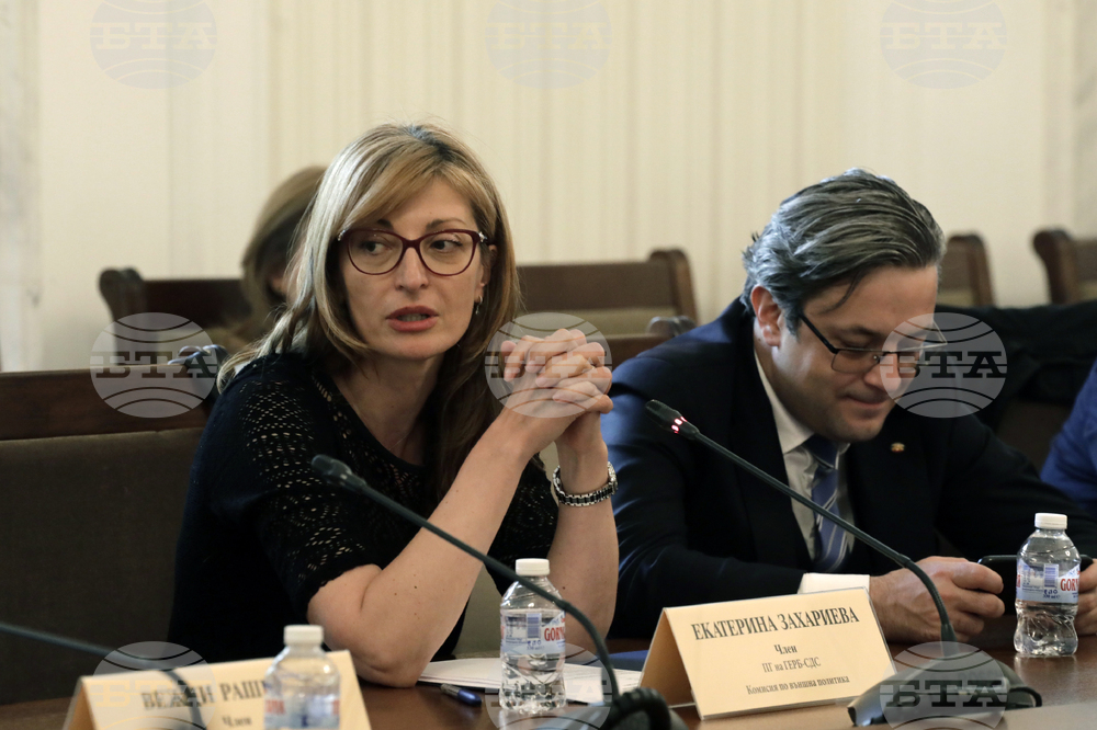 Парламент - Комисия по външна политика - заседание