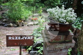 Румъния - Музей на комунистическия консуматор