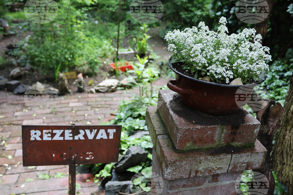 Румъния - Музей на комунистическия консуматор