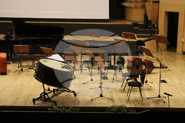 Румъния - Младежки оркестър на Европейския съюз - Филхармония в Тимишоара