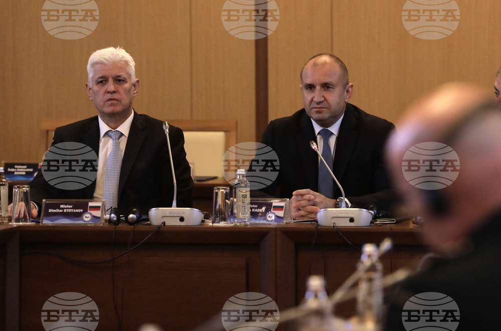 Bulgarian Defence Minister: "Our Region Needs New Approach to Ensure Security, Stability"