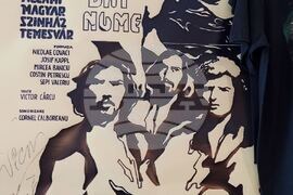 Румъния - Тимишоара - Винилотека