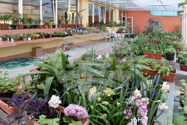 Варна - Училище „Проф. д-р Иван Шишманов”