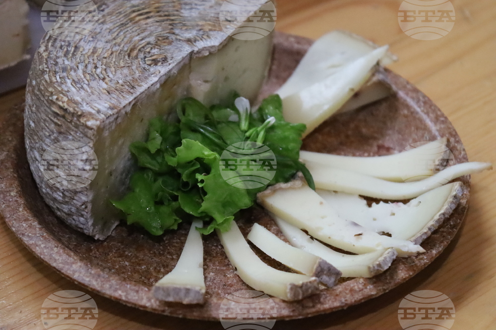 Румъния - Политехническия университет на Тимишоара - готварски работилници