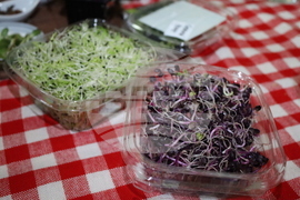 Румъния - Политехническия университет на Тимишоара - готварски работилници