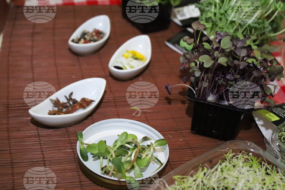 Румъния - Политехническия университет на Тимишоара - готварски работилници