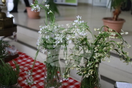 Румъния - Политехническия университет на Тимишоара - готварски работилници