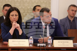 Парламент - Комисия по правни въпроси