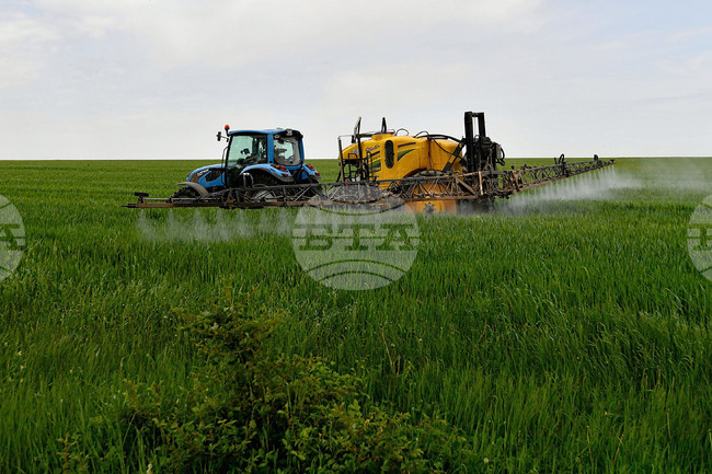 Разград - работа на полето - подхранване