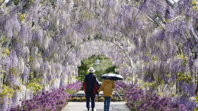 Дългата ежедневна разходка е по-полезна за сърцето отколкото няколко кратки, показва проучване