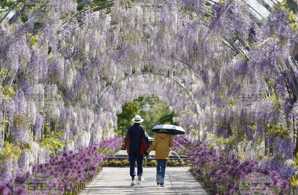 Дългата ежедневна разходка е по-полезна за сърцето отколкото няколко кратки, показва проучване