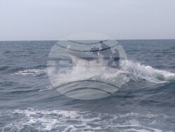 Снимка: Български Военноморски Сили