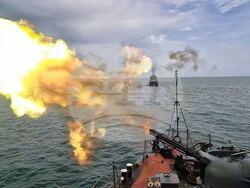 Снимка: Български Военноморски Сили