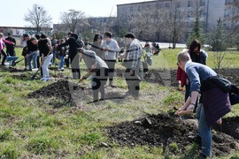 Хасково - Еразъм - гимназия