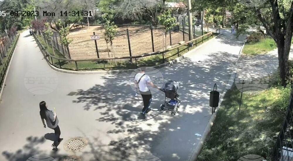 Жена постарада при инцидент в зоопарка в Стара Загора