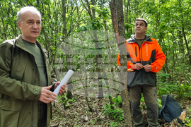 Странджа - Саарландски метод - Държавно горско стопанство - инж. Цветомир Генов - инж. Георги Георгиев