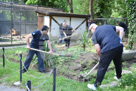 Варна - пролетно почистване - зоопарк