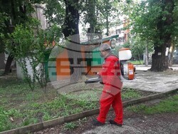 Снимка: Община Видин