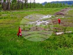 Снимка: Община Видин