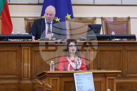 Парламент - заседание - Десислава Атанасова