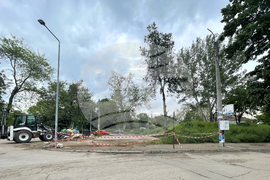 Видин - премахване на незаконна постройка