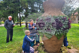 Разград - цветя - засаждане