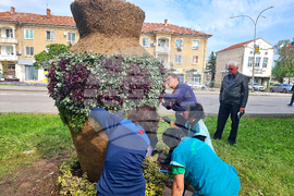 Разград - цветя - засаждане