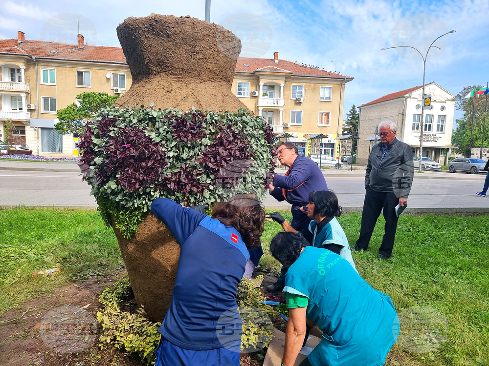 Разград - цветя - засаждане