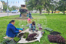 Разград - цветя - засаждане