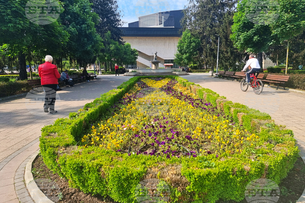 Разград - цветя - засаждане