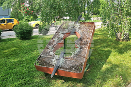 Разград - цветя - засаждане