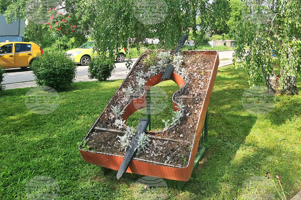 Разград - цветя - засаждане
